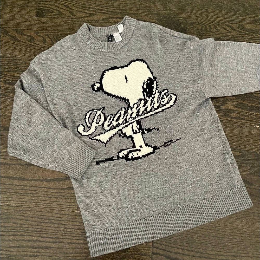 H&M Gray Snoopy Peanuts Knit Sweater - Picture 4 of 13